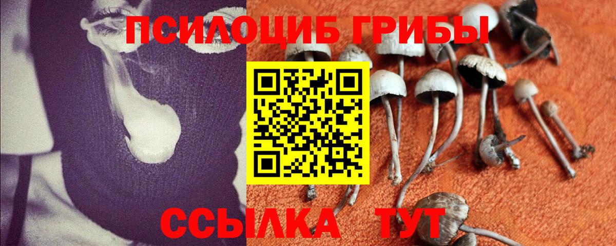 Псилоцибиновые грибы прущие грибы Самара